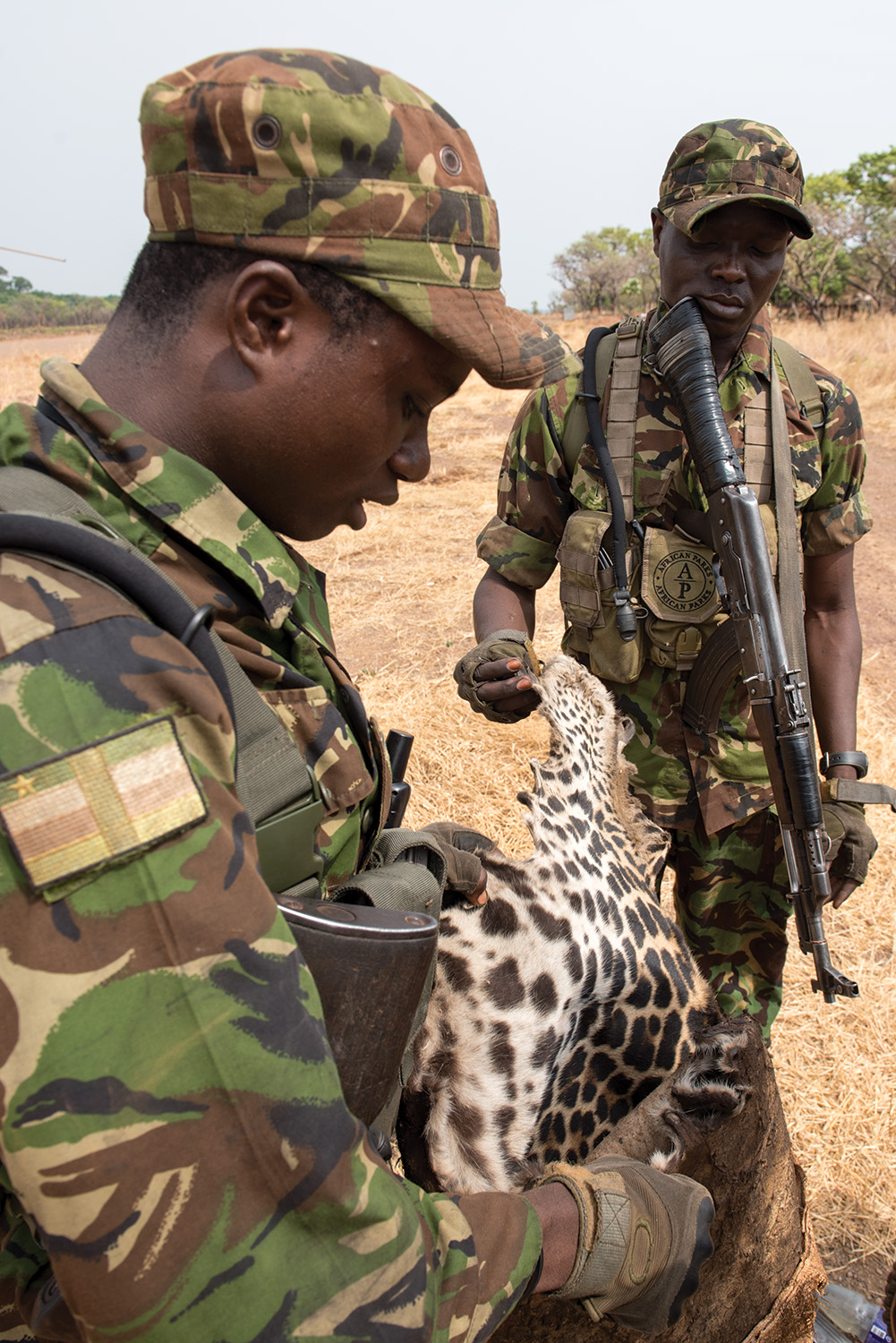 Lieutenant Ponce Pilate Mbenga, a Central African Army officer with the Chinko Project, looks on as one of the rangers examines a leopard skin confiscated from Mbororo poachers during a camp raid. 
