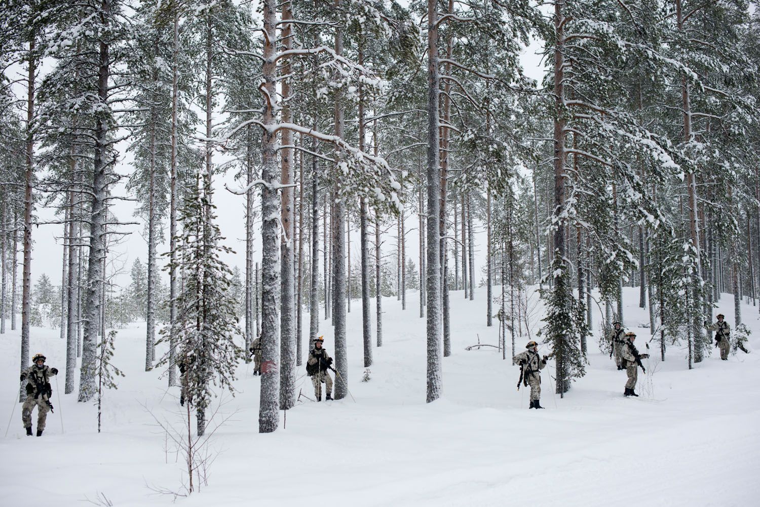 Finnish ski troops during military exercises. Lapland, Finland, December, 2019.